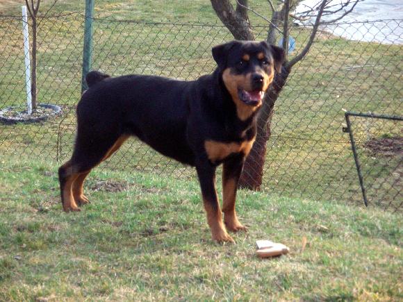 andqYQZ6ljW83zGHkgjWB4uwfYOVeC5sM-ifucc752b7OZqnh6eu8eLRJNvuXTBny-k88zU